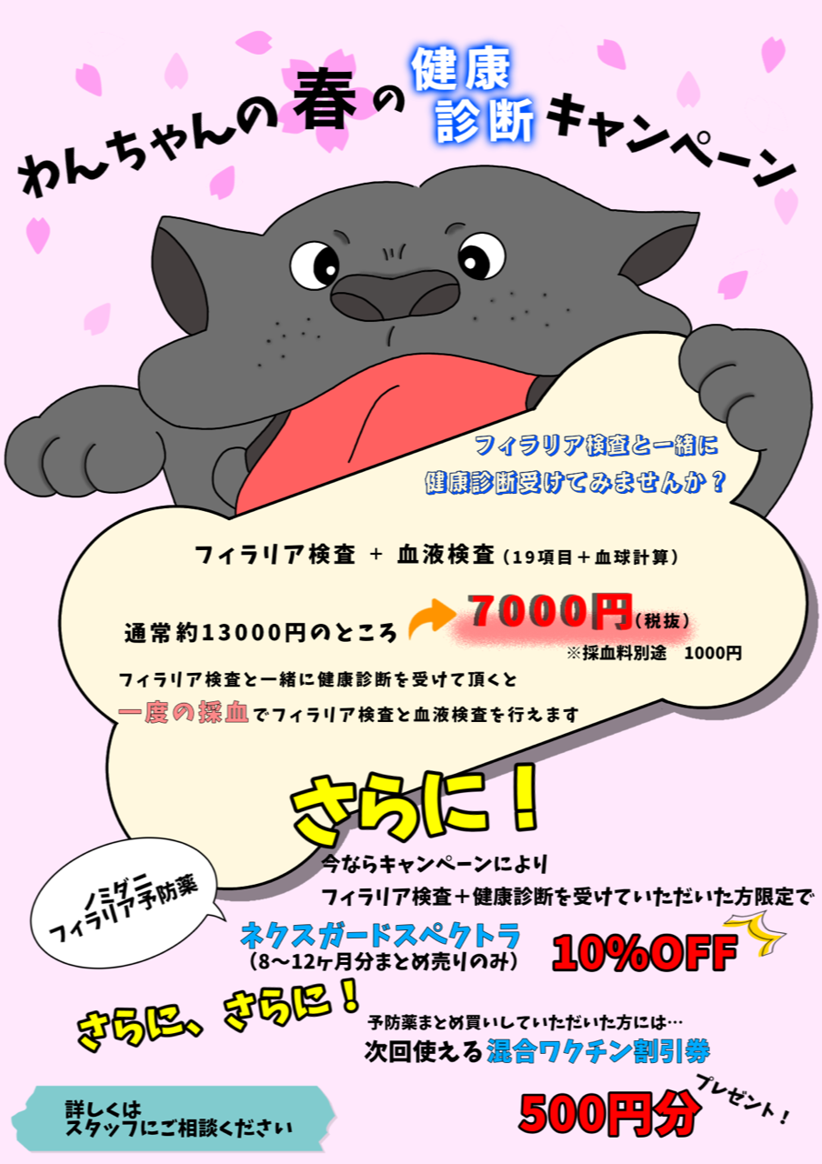 春の健康診断 にゃんにゃんドック