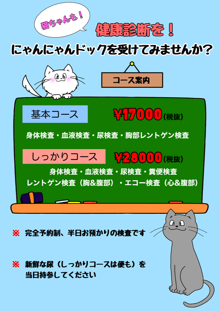 猫の健康診断　にゃんにゃんドック