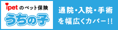 アイペット保険